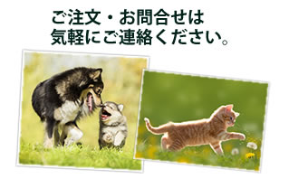 与え方や併用や副作用など安心できるように